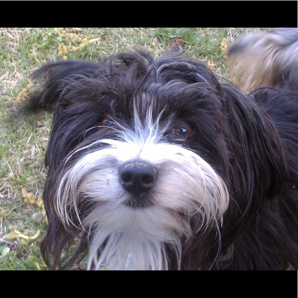 Meet your Posher, Natali - Picture 1 of 1